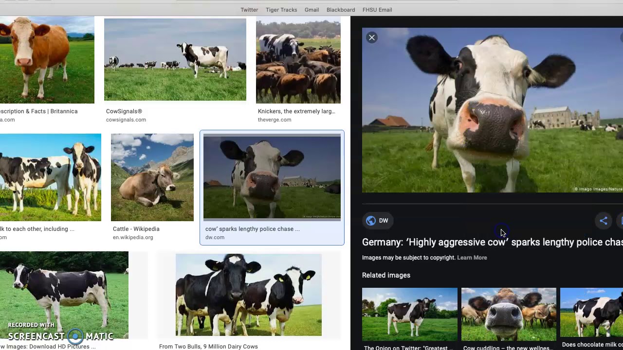 cow-powerpoint-youtube