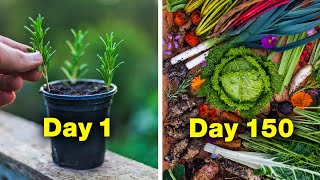 The No-Nonsense Guide to Self-Sufficiency (For Gardeners) by Huw Richards 72,522 views 2 months ago 12 minutes, 23 seconds
