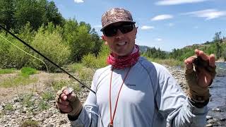 Swift Water Hopper Dropper // DEADLY DROPPER - Roza's Violet Tag Tungsten Jig Nymph