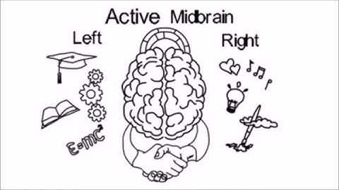 What Is Mid Brain activation ? By Miraculous Brain academy - Make Your Child Super Genius