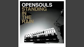 Standing In The Rain