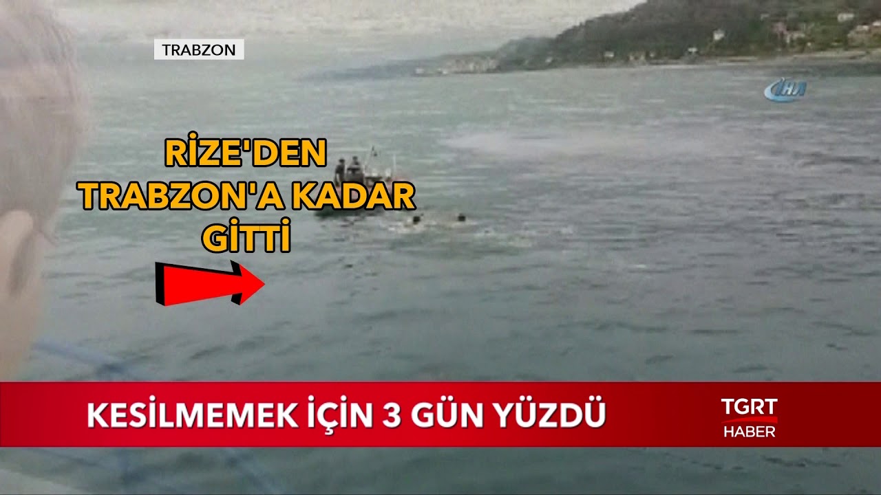 Rize'den Trabzona Kadar Yüzen Dana Böyle Yakalandı - YouTube