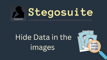 stegosuit - hide information in images | image steganography tool