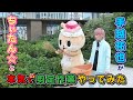 ちぃたん☆と手越祐也のホンキでいきます(仮)横浜編
