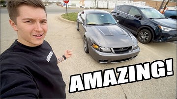 THIS Terminator COBRA is TEMPTING!