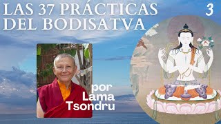 Las 37 Prácticas del Bodhisatva (3) por Lama Tsondru
