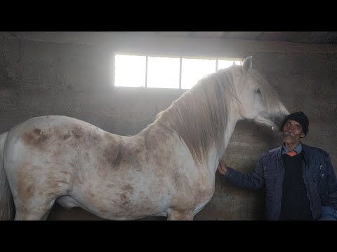 فلوغ جديد مع دريس موزون من مدينة سلا الجديدة مع لمقدم عزيز لبرمي