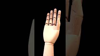 I tried Animating with a WOODEN HAND in #stopmotion #animation #shorts #viral