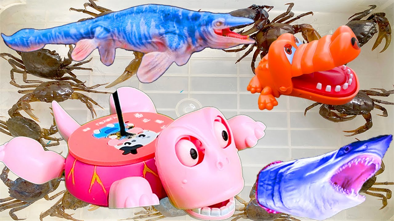 Kem Ốc Chanel ra bờ ao câu con cua, con cá nhặt được trứng rùa con lạ, gặp cá mập, cá sấu cắn ốc sên