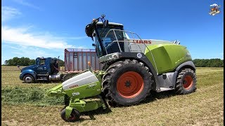Chopping First Cutting Hay at New Holland Dairy near Bluffton Indiana