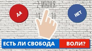 Мы свободны или всё предопределено? Есть ли свобода воли и выбора?