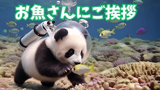 AI Baby Panda's Undersea Adventure - YouTube