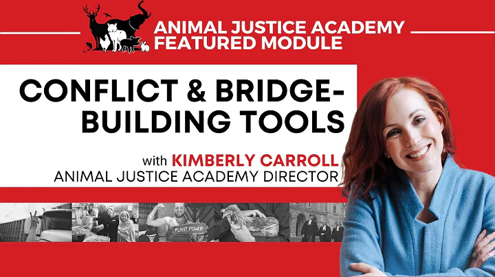 Conflict & Bridge Building Tools with Kimberly Car...