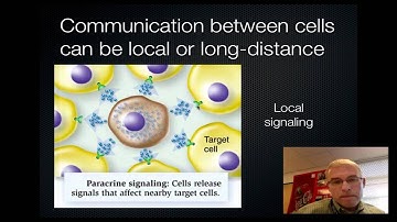Cell Signalling 1
