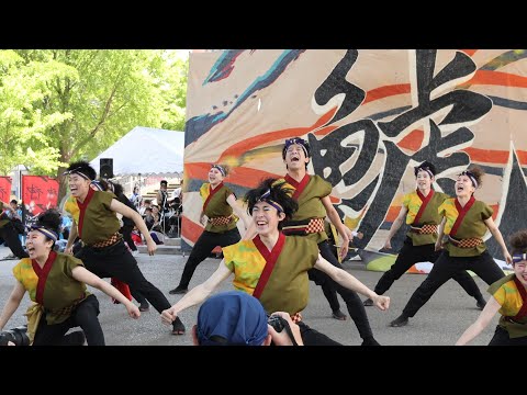 わいわい若宮 2023 名古屋学生チーム『鯱』