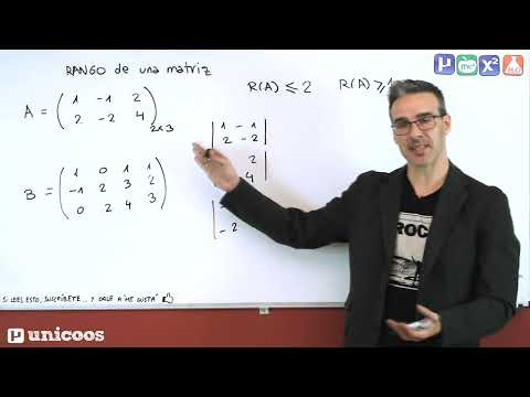 Vídeo: Com Es Pot Trobar El Determinant D’una Matriu D’ordre 3