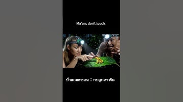 Amazon Jungle, Poison Dart Frog Adventure, Uncle Kam and Nong Maem #shorts
