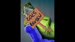 Channel Review/Game Re-Rates 2025