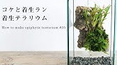 天空の城ラピュタの苔テラリウム 作り方 Make A Moss Terrarium For Castle In The Sky 45 Youtube 天空の城ラピュタの苔テラリウム 作り方 Make A Moss Terrarium For Castle In The Sky 45 Youtube