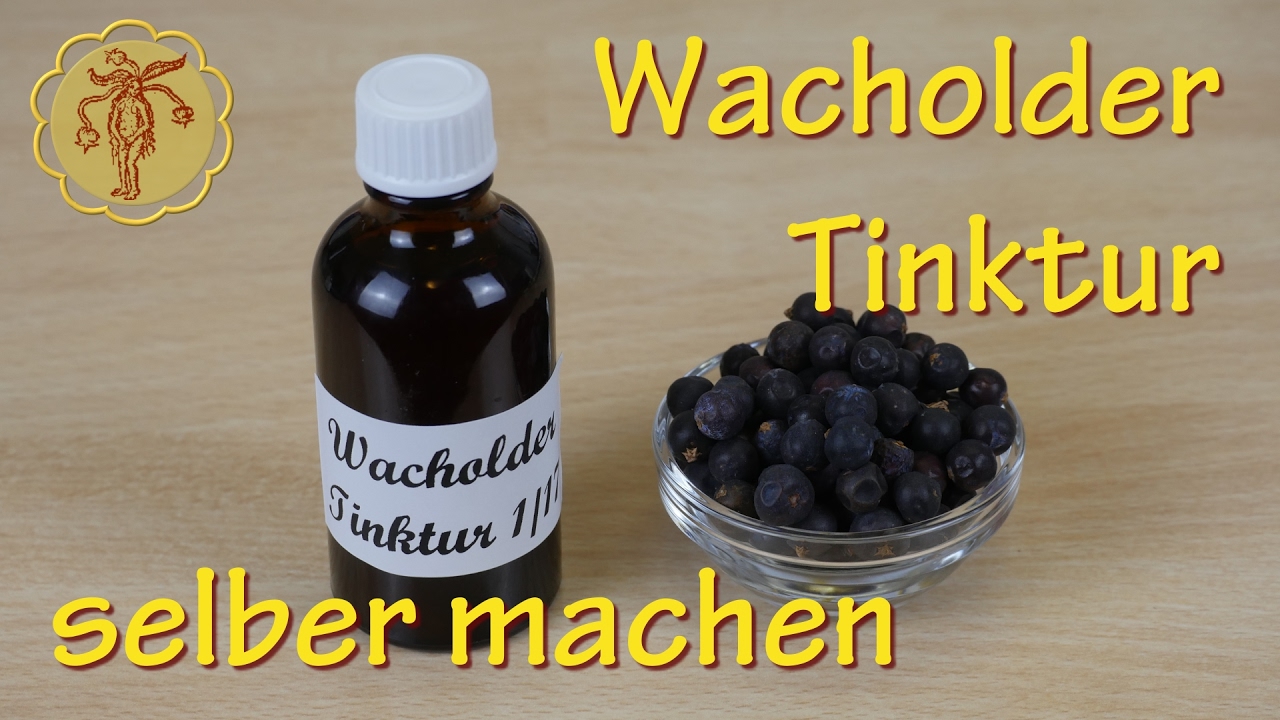 Wacholder-Tinktur selber machen - YouTube