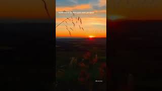 Susarak Özlüyorum__Ahmet Aslan__