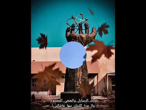 ستوري مختلف بجامعة الأنبار ليفوتكم