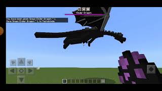 minecraft but i spawn ender dragon #3