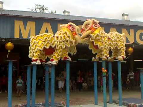 Lion Dance Sandakan Chin Woo 2011