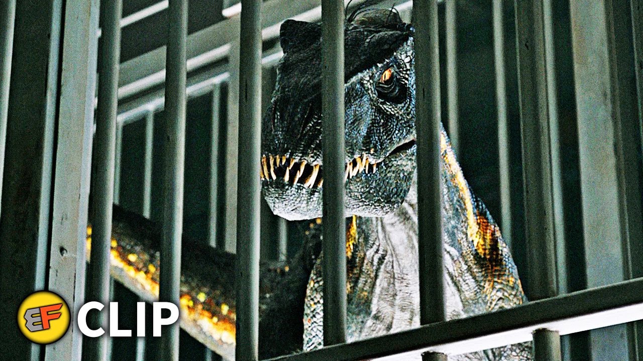 Reino Caído | Indoraptor vs Blue en 4k HDR