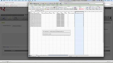 Importing Responses Qualtrics