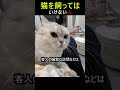猫を飼ってはいけない人
