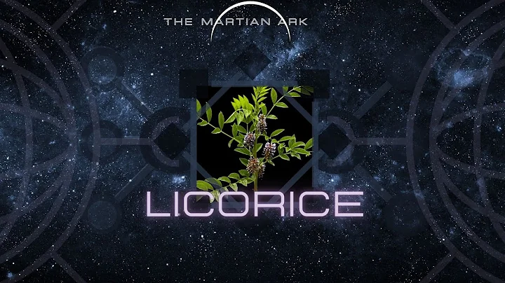 EXPECT OR WANT EXPECTORANT | LICORICE BUSH | Glycyrrhiza glabra