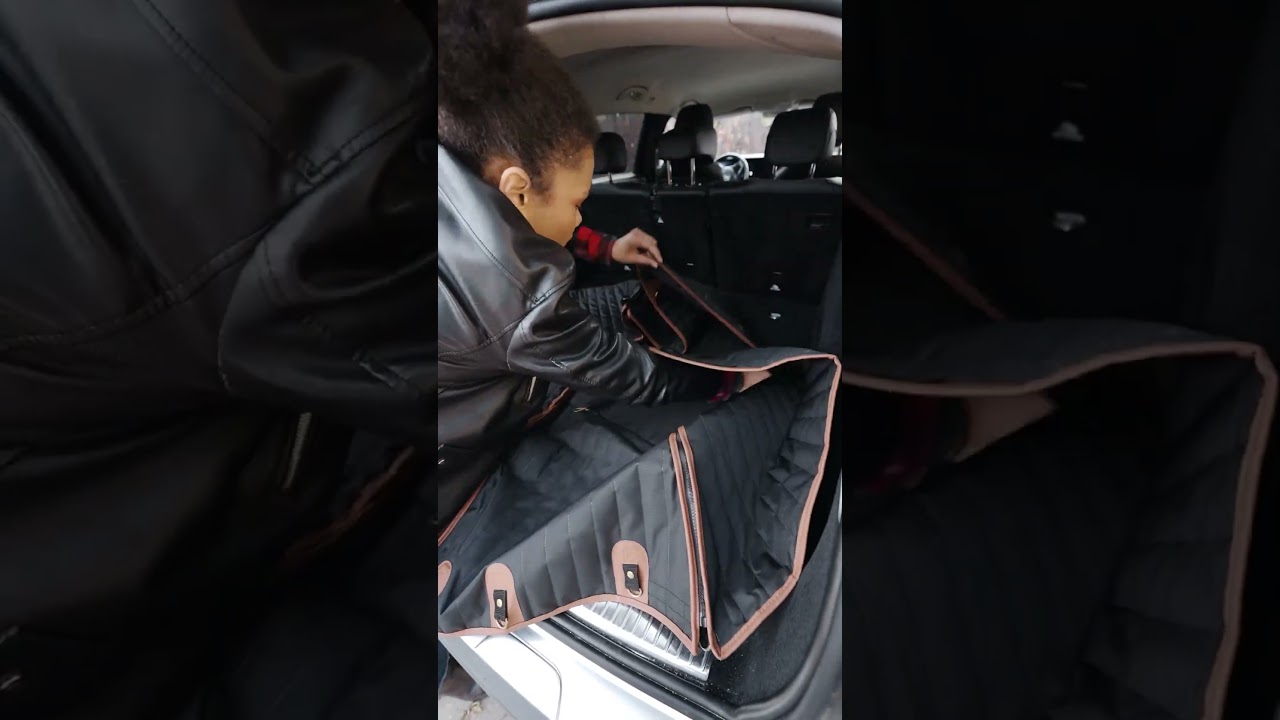 Best Dog Seat Cover from Owleys 🐶