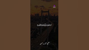 الشيخ محمد بدر حسين وأروع التلاوات النادرة | Mohamed Badr Hussein Rare Quran