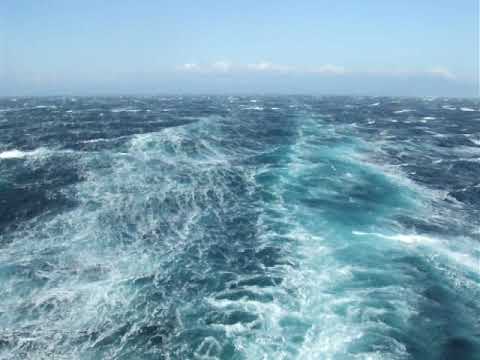 飛鳥II、相模湾で待機