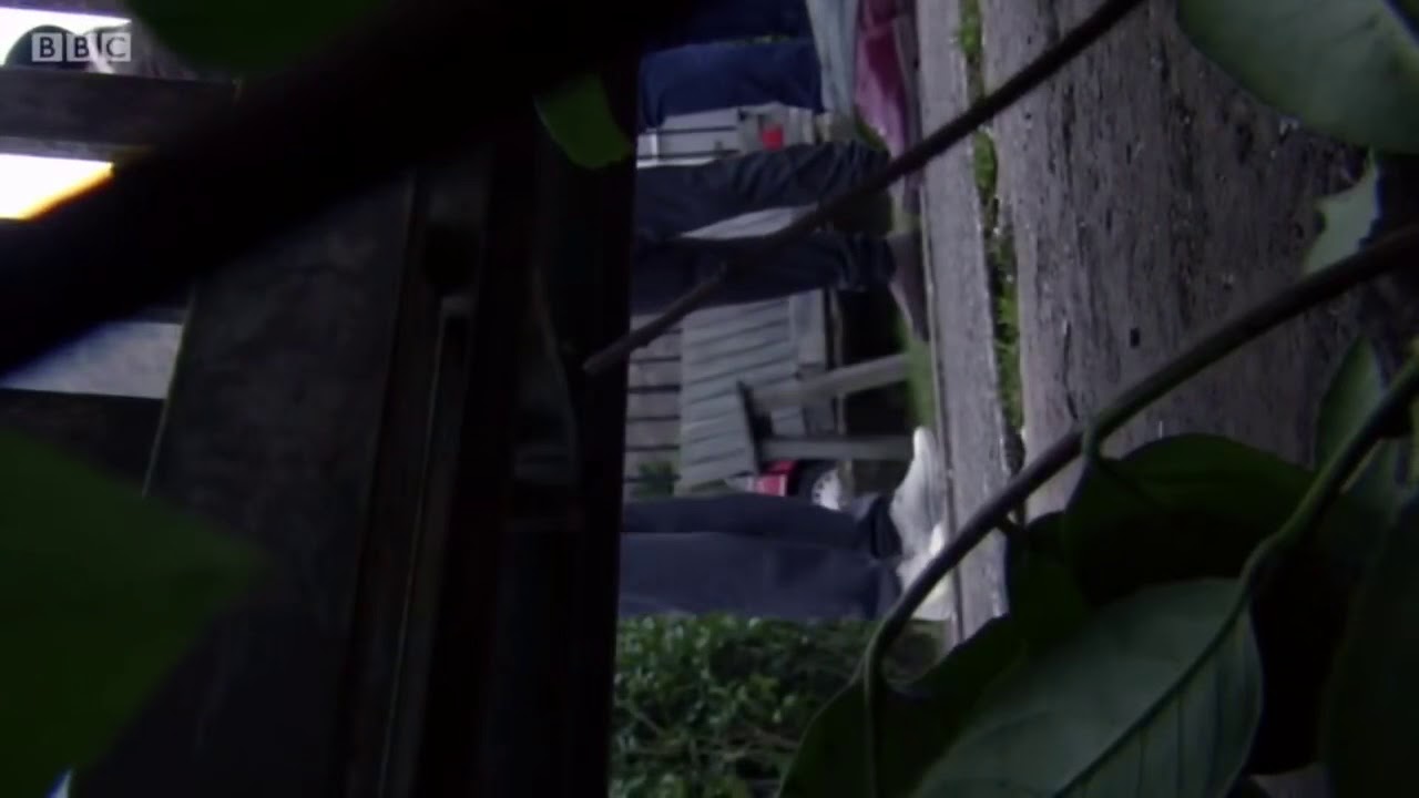 Shakil is finally found Eastenders