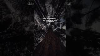 Menjelang Idhul Adha