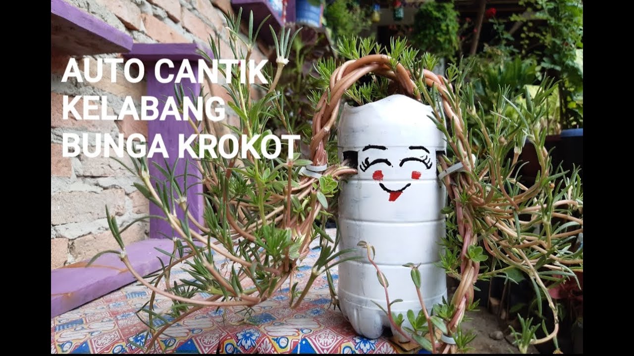 Tutorial Menanam Bunga  Krokot  Model Baru DIY Cantik dan 