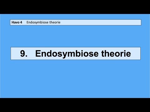 Video: Verschil Tussen Endosymbiose En Symbiose