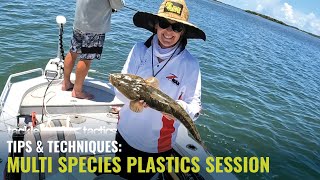 How Many Species? - How to Fish Soft Plastics Multi-Species River & Estuary Session screenshot 5