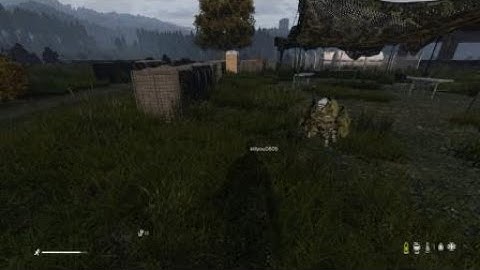 Invisible player DayZ