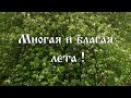 Многая и благая лета!