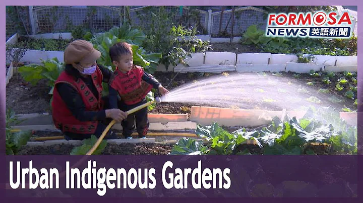 Indigenous elders’ vegetable gardens reconnect gardeners to the soil in Kaohsiung - DayDayNews