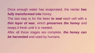 How Bees Make Honey – IELTS Writing Task 1 Preparation Article