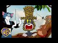 Aktivitäten Im Freien Tom Und Jerry Auf Deutsch WBKidsDeutschland