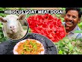 செம்பருத்தி பூ செம்மறி ஆட்டு கறி தோசை | Hibiscus Flower Sheep Goat Curry Dosa | Surprising Benefits