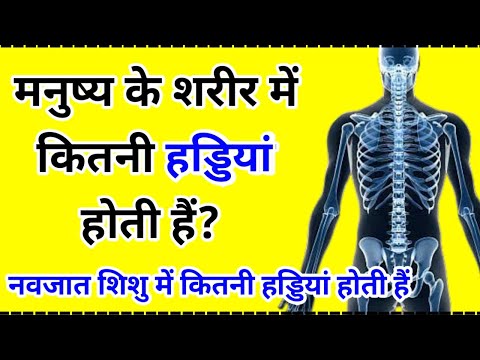 मनुष्य के शरीर में कितनी हड्डियां होती हैं || manushya ke sharir mein kitni haddiyan hoti hai