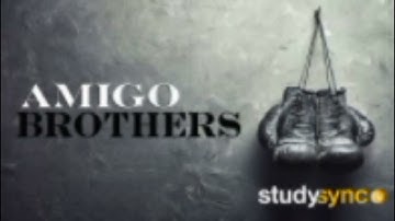 Audio Amigo Brothers