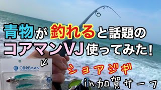 青物が釣れるワーム！？ コアマンVJ使ってみたら凄かった…
