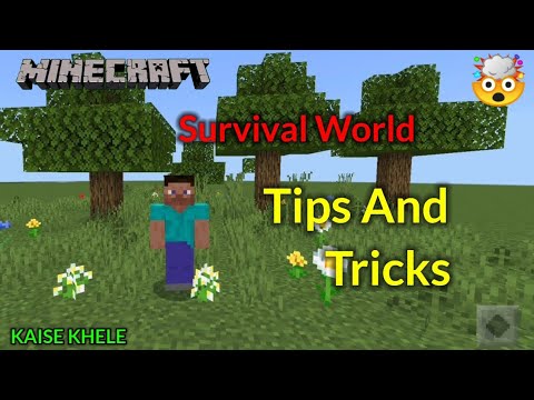 How to Play Survival Tips and Tricks Pocket Edition | Minecraft Kaise ...
